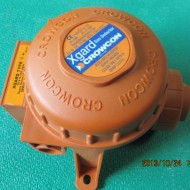Gas Detector CL2 0-100ppm